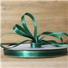 Order  Basics 2 Go Satin Ribbon - 9mm Gold Edge Green